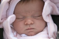 Seintxua lolo dago, deskantsuan. 