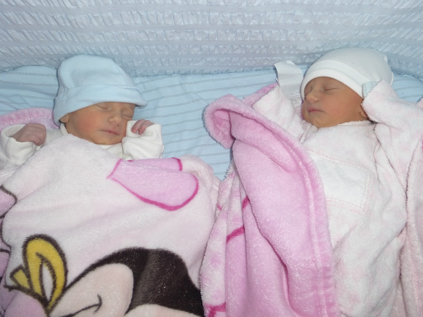 Arg42 Hamen gure aingerutxuak. (1.2.3.)