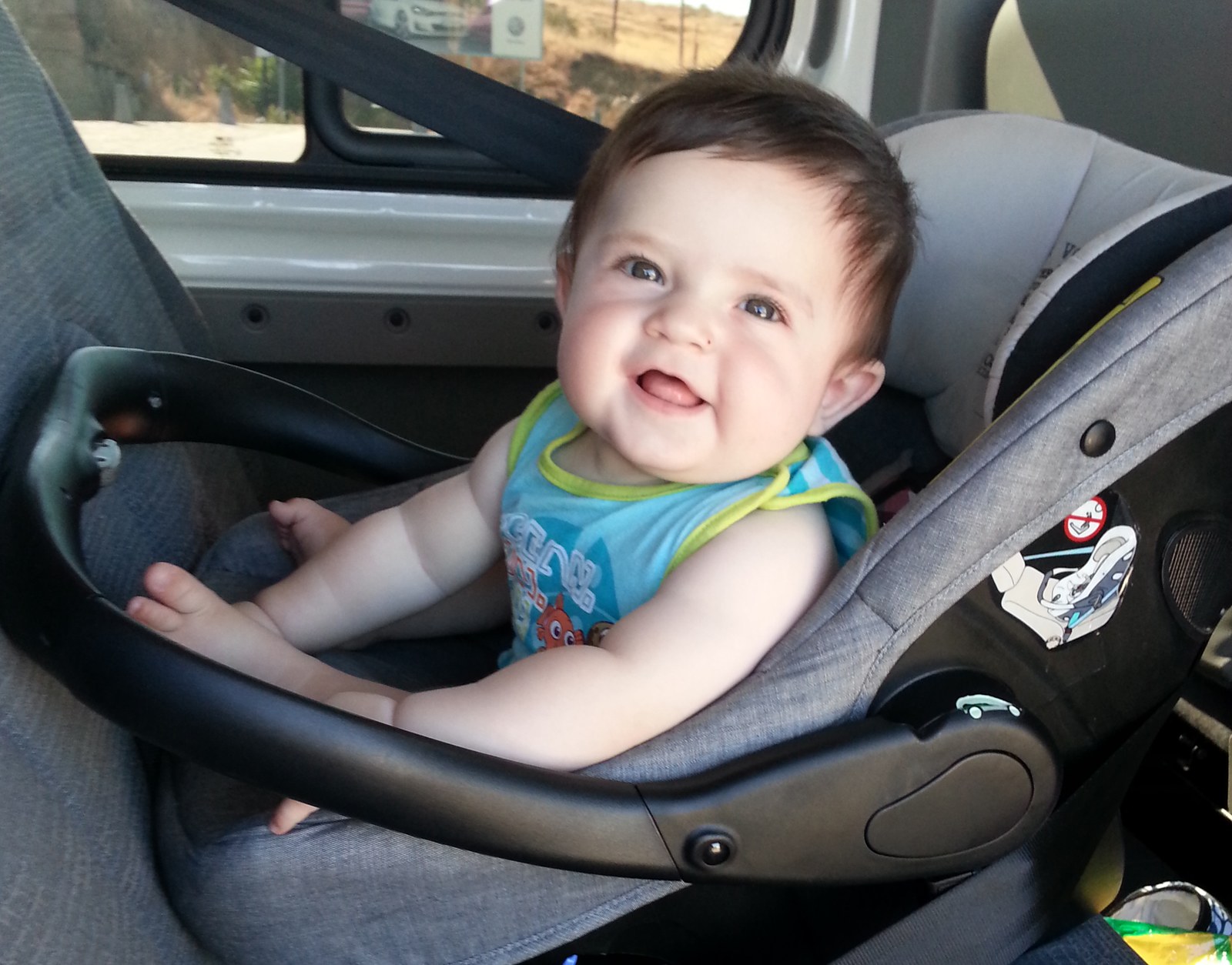 Arg43 Argizarizkoa dirudi. (1.2.3.)