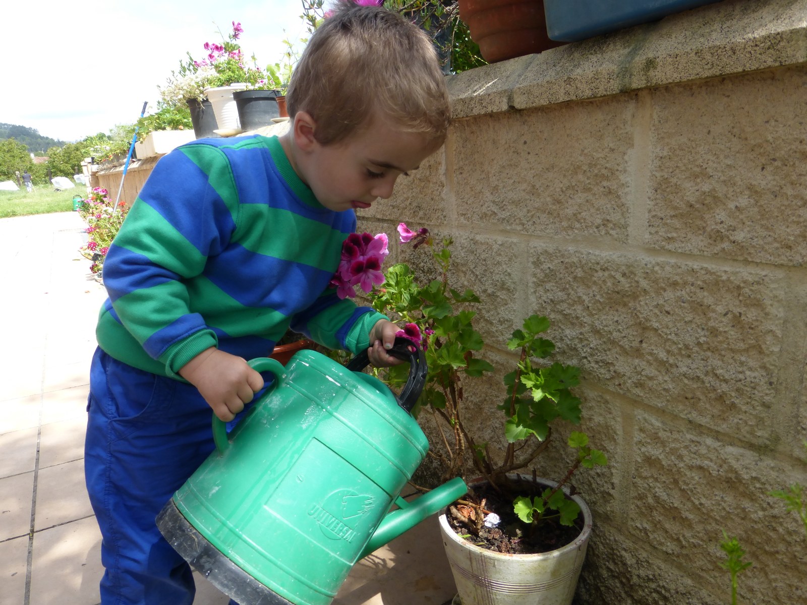 Arg45 Esanekoa da gure mutila. (1.2.3.)