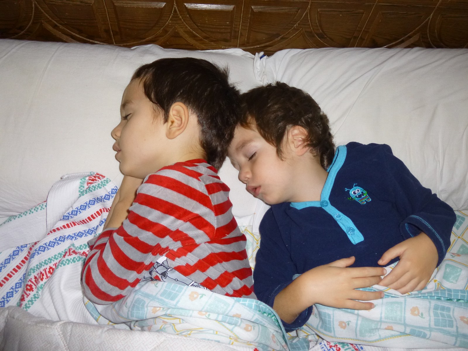 Arg46 Loti hutsak dira. Hamaiketan ere lotan jarraitzen dute. (1.2.3.)