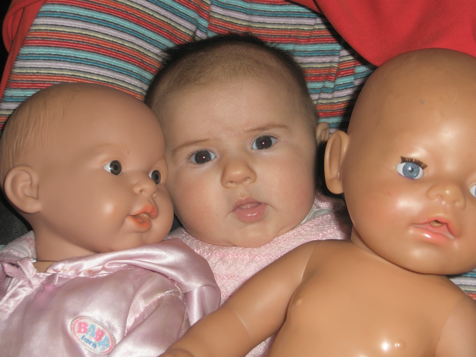 Arg50 Ezetz igarri zein den gure tarratolatxua! (1.2.3.)