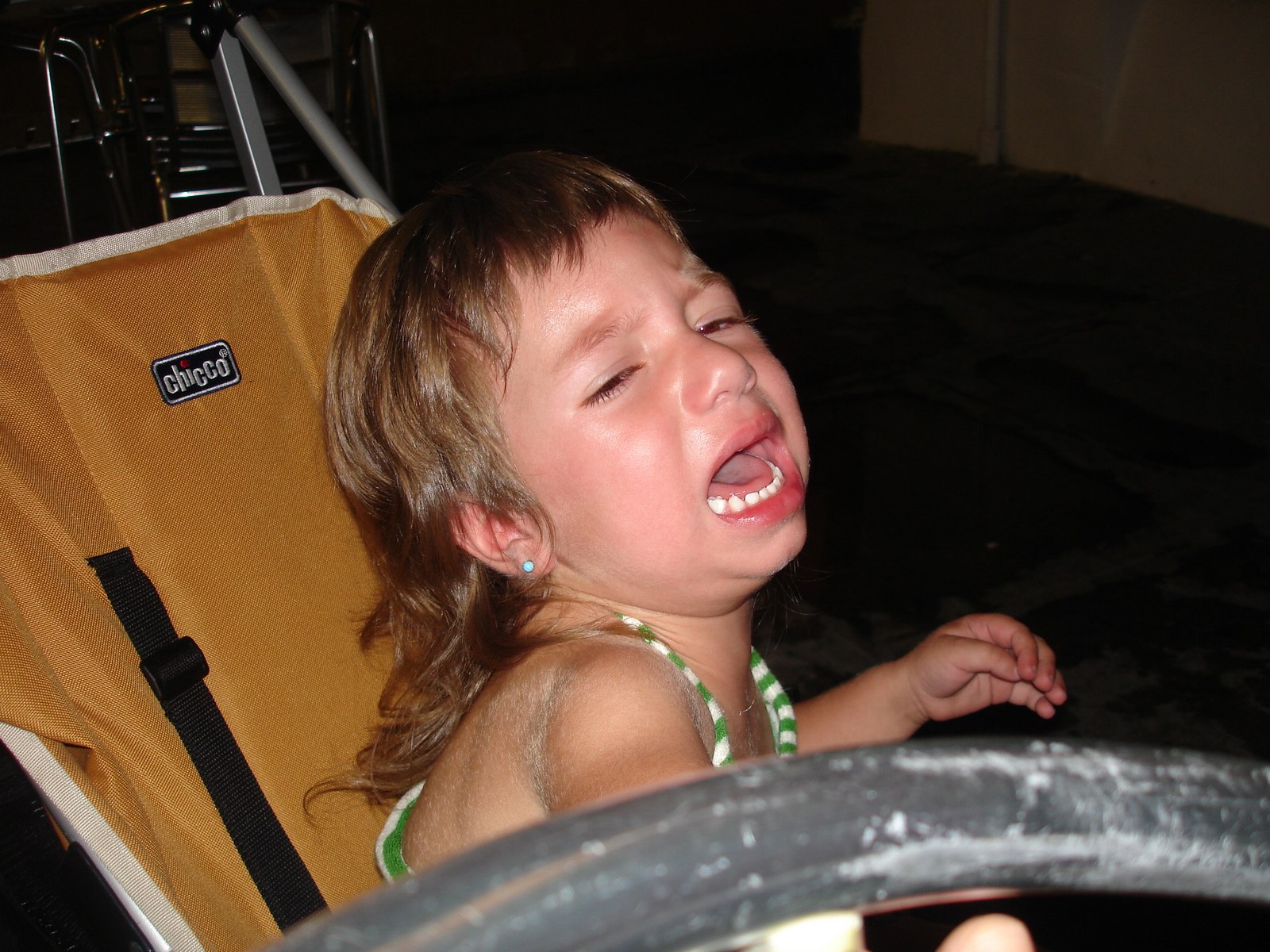 Arg51 Logurak erreta dago koitadua. (1.2.3.)