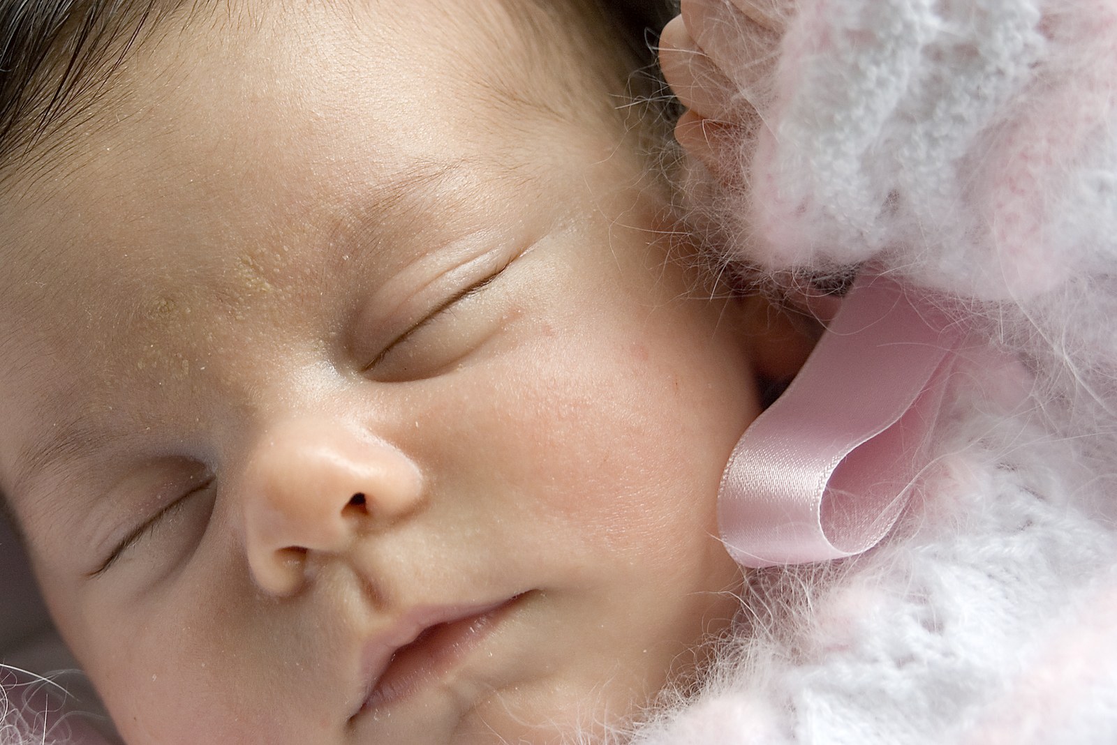 Arg65 Beste ezer baino gehiago maite dugu geure umea. (1.2.5.)