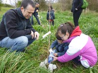 Martian zuhaitzaren eguna