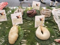 Zemendian txerri-hiltzeak